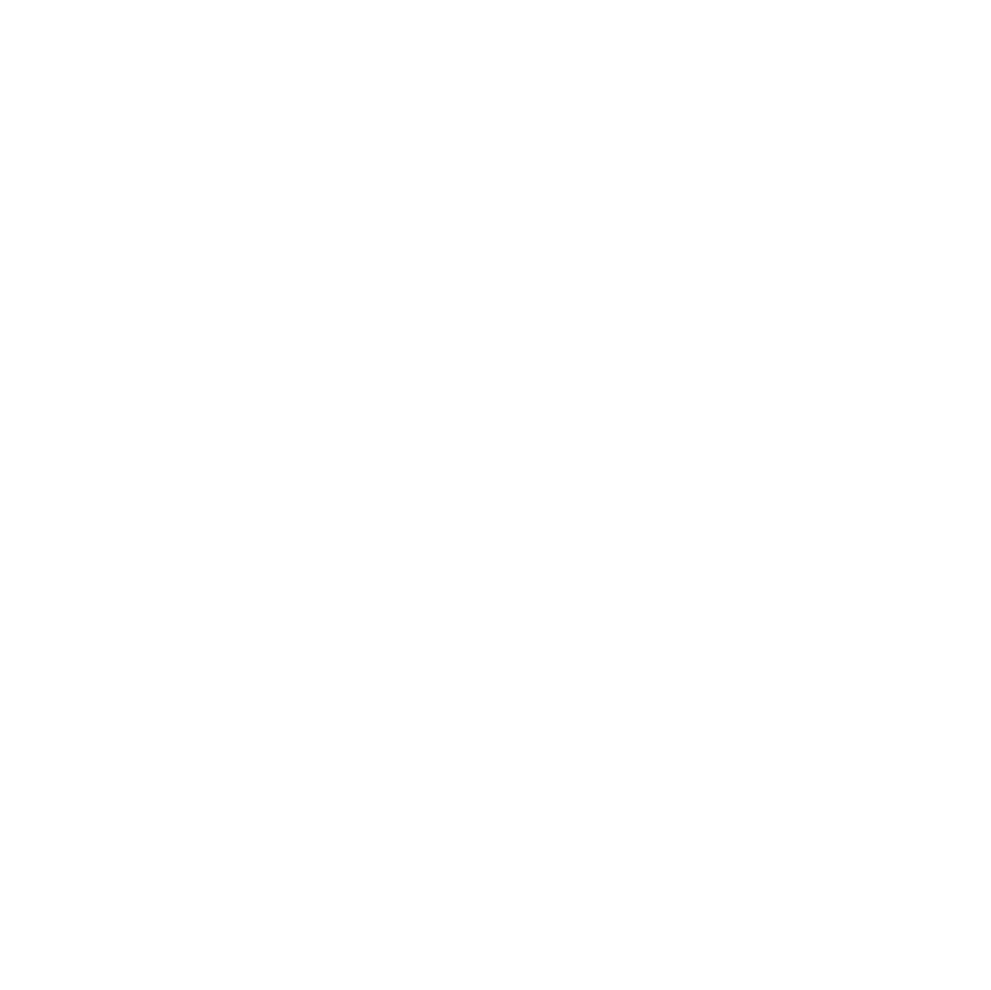 CULTURE REPUBLIC